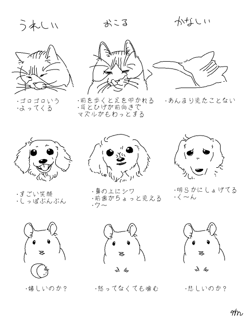 ノーマ Di Twitter 猫と犬ときて初めてハムスター飼って思うこと