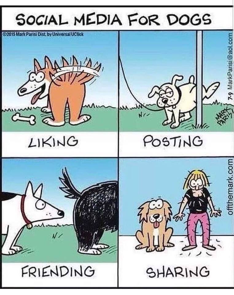 PetGifter's tweet photo. 🤣🐶🐾 https://t.co/yXllgTcKWz