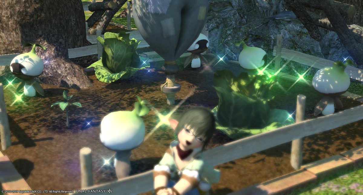 Kokoha Koha Blog Entry `マンドラーズ育ちました` | FINAL FANTASY