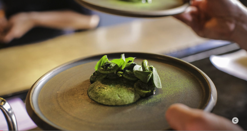 Montreal's tweet photo. Montréal's bountiful culinary offerings are as unique and diverse as the city itself – give your taste buds a treat at these excellent restaurants showcasing Québec's new cuisine 🍽 https://t.co/uJorndE5qT 📷 Philippe Richelet #Montreal #Restaurants #QuebecFood https://t.co/gox5xNqFuE