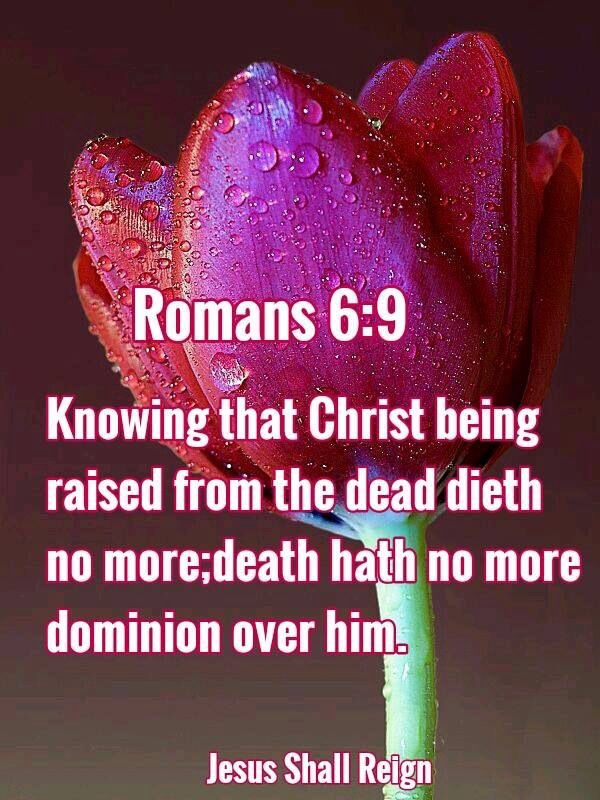 Diva's Den Fashion on Twitter: "Romans 6:9 KJV 9 Knowing that Christ being raised from the dead dieth no more; death hath no more dominion over him. #Jesus #God #DivasDenFashion #knowing #that #