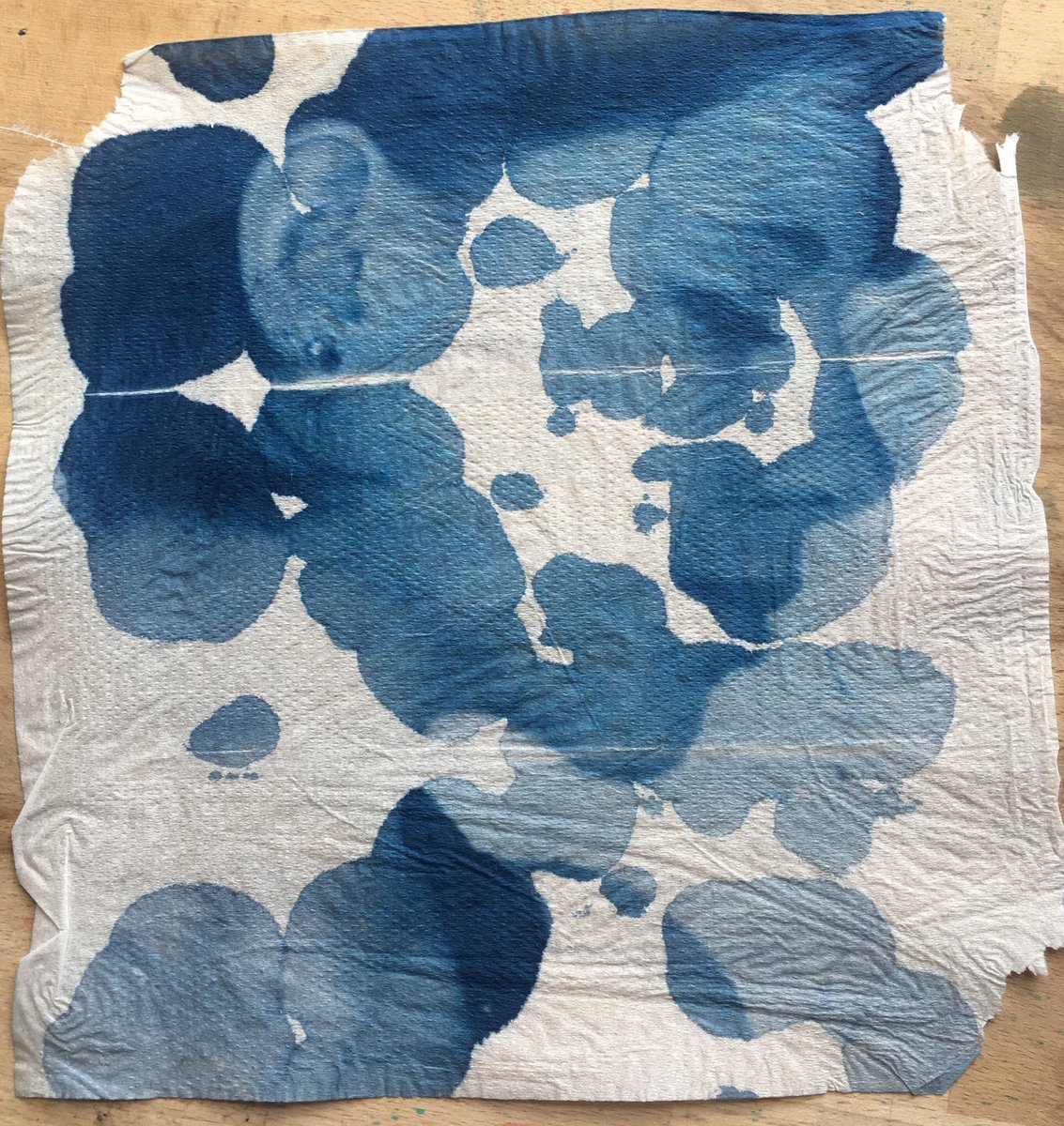 PlatinumPrinz's tweet photo. #cyanotype on paper towel. Delicate washing - but the model’s face came out quite well. What do you think? https://t.co/FvskNSOWur