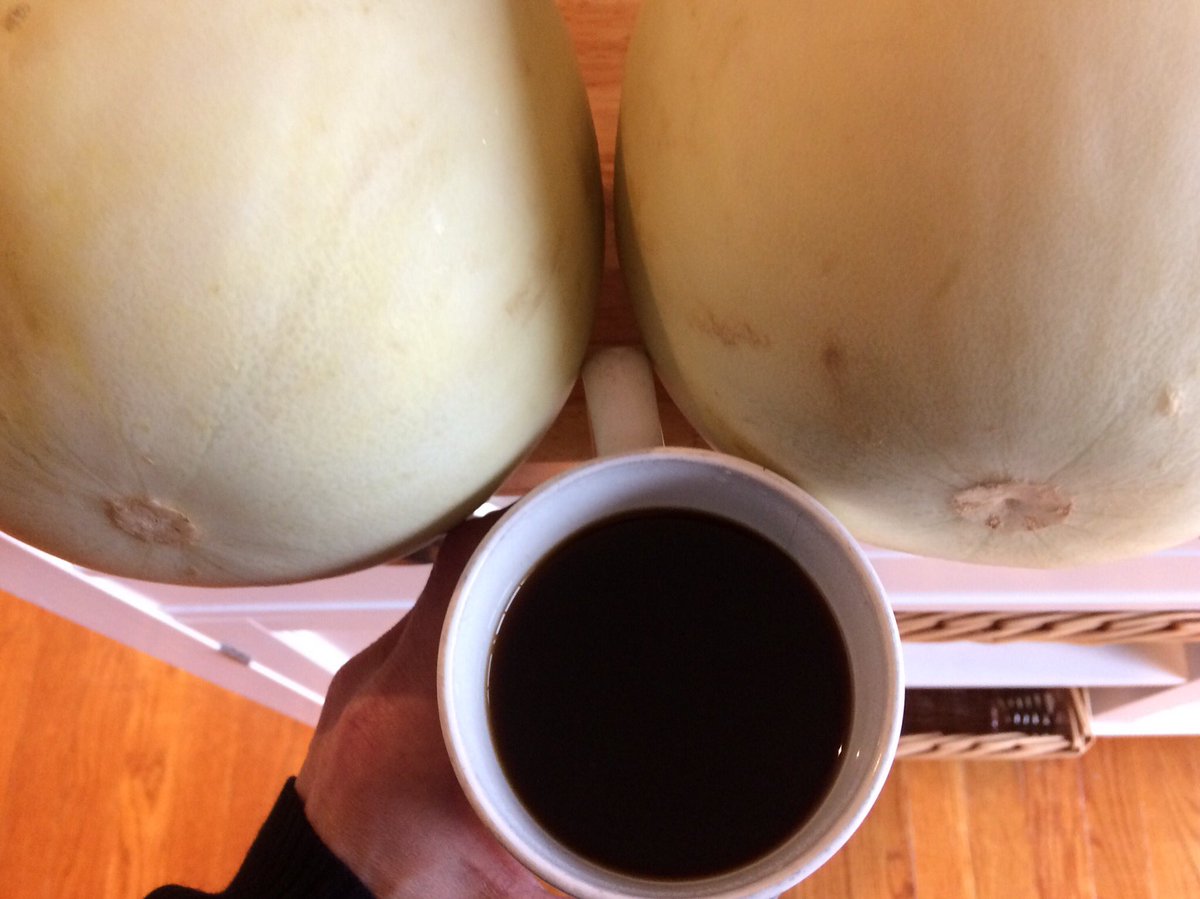 nutsaboutknittn's tweet photo. I wonder if anyone will be bothered by me sharing my coffee and showing my melons today? https://t.co/ZBQU8pRw5W