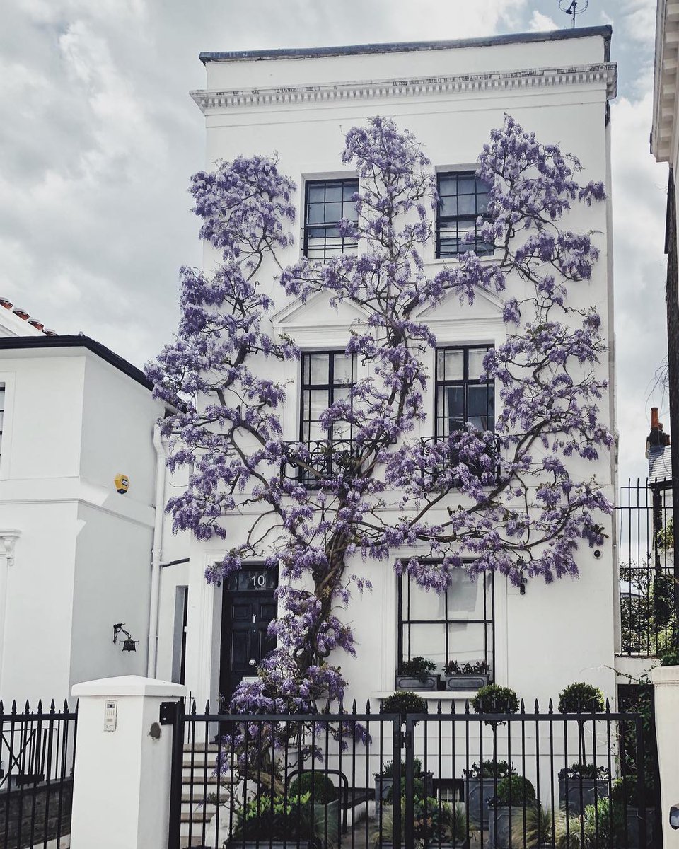 Who doesn't love a Sunday stroll? Especially when such beautiful houses are around the corner 🌸 Photo by: na.tachaa