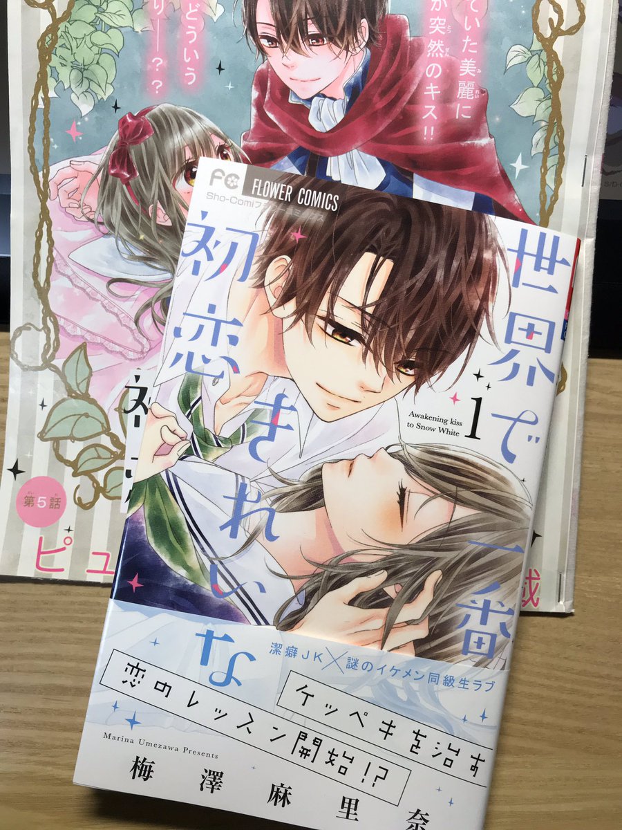 【宣伝】
小学館FC『世界で一番きれいな初恋』①巻発売になりました✨?

しっとりしたカバーですが中身はラブコメです。①巻はシリアス寄りだけど…ラブコメです!!
GWのお供に!宜しくお願い致します✨?

#世界で一番きれいな初恋
#梅澤麻里奈 