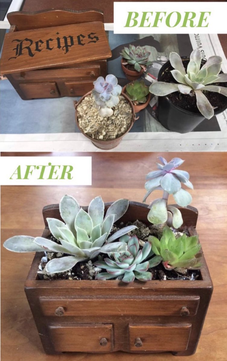 LeewardFDN's tweet photo. One of our creative customers converted this old recipe box into a new home for her succulents. Check out the neat before and after picture!
#ThriftStore #ThriftShop
#RecycleReuseRenew #FeedClotheComfort
#ProceedsStayLocal
#Repurpose #Recipes
#Succulents #BeforeandAfter https://t.co/Up2E5u8xuu