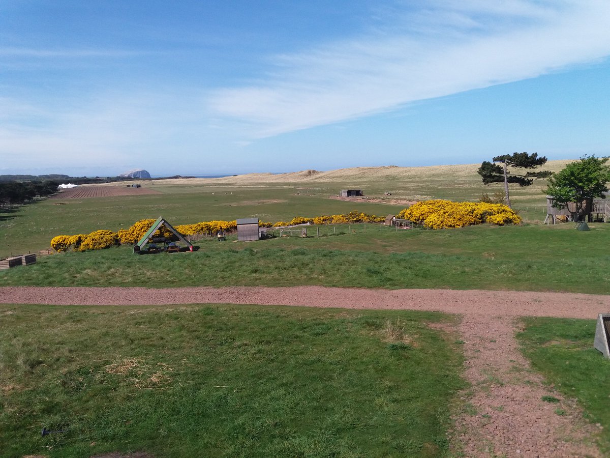 Blue skies all weekend .#sunshine#midweekbreaks#treehouseviews