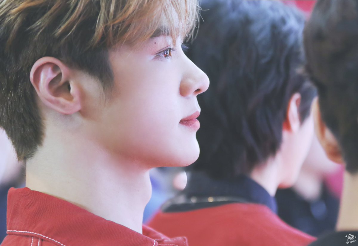 nctgallerys's tweet photo. ・ ・ 190426 ♡ spacetap0101
qian kun┊nct https://t.co/8cuvpZ8Pys