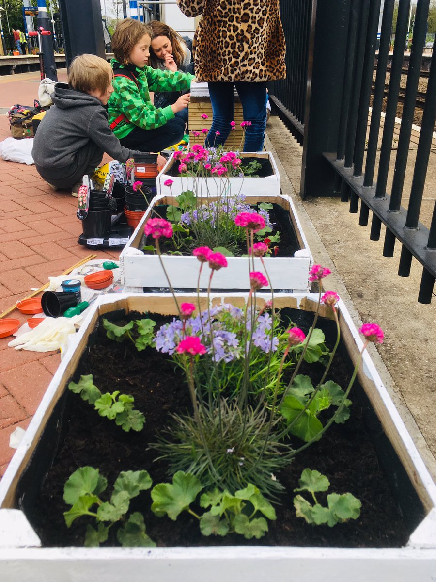 AllyPallySt's tweet image. Fantastic day making the Geranium Train! Added some Almera and Phlox for perennial colour, with @CultivationSt @sunshinegardcen geraniums still babies coming through. Lots of junior train-lovers VERY excited about the #class717!