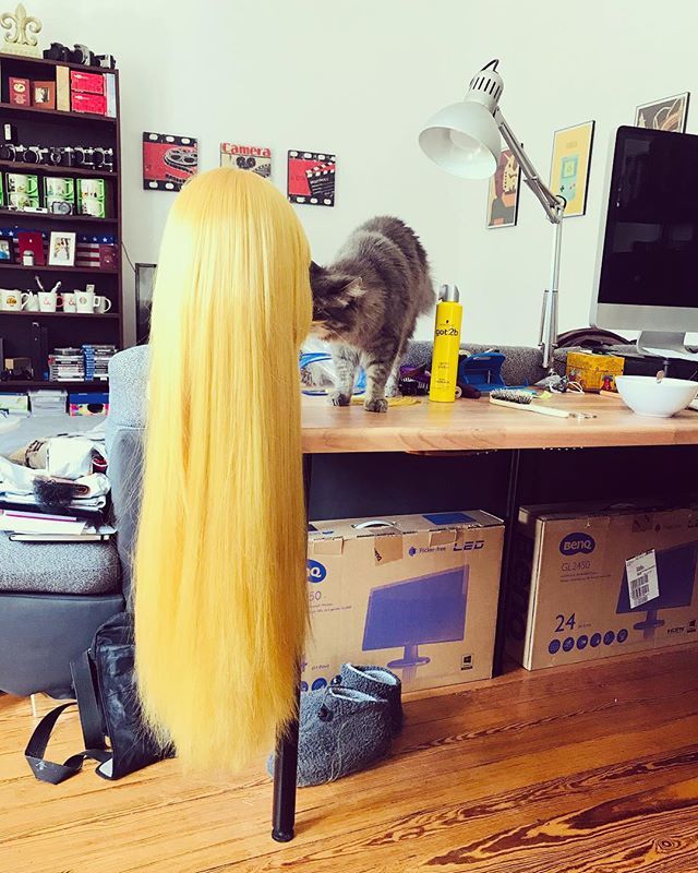 saraparker's tweet photo. Da CAT-Spector is in da House - when your cat @wearefluffy is “helping” out by sniffing out #cosplaywip .
.
I’m currently updating my #ZeldaCosplay for @fantasybaselofficial -it’s Zelda’s #RoyalDress from #breathofthewild .
.
#wig #cosplaywog #cosplaypro… https://t.co/F3jdPofwvM https://t.co/5Sh0gPWHqu