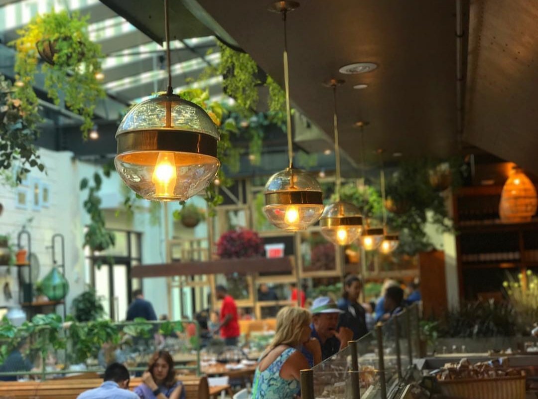 catchvybz's tweet photo. It's true what they say: the perfect Sunday vybz can be found here at @terraboston inside their whimsical, #italian greenhouse oasis located on the third floor of @eatalyboston at the Pru. 🌱🍷🍝
#lunch 
#dinner 
#boston
#bostonrestaurants
#catchvybz 
#greenhousevybz
#vibes https://t.co/cGP5PZZ6Qv