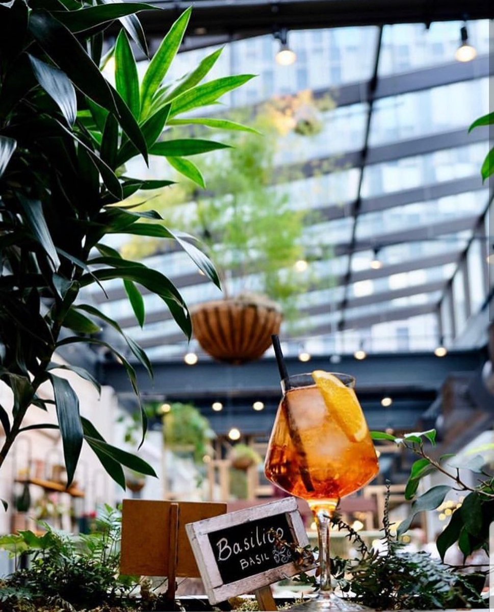 catchvybz's tweet photo. It's true what they say: the perfect Sunday vybz can be found here at @terraboston inside their whimsical, #italian greenhouse oasis located on the third floor of @eatalyboston at the Pru. 🌱🍷🍝
#lunch 
#dinner 
#boston
#bostonrestaurants
#catchvybz 
#greenhousevybz
#vibes https://t.co/cGP5PZZ6Qv