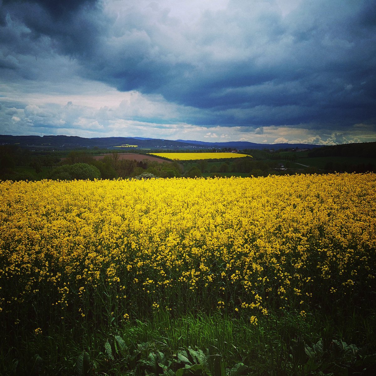 Der Haarstrang, sanfte Hügel zwischen Sauerland und Soester Börde. Hier kann man herrlich wandern und den Kopf frei bekommen. Direkt vor unserer Haustür!
Es muss eben nicht immer die Toskana sein... 😊