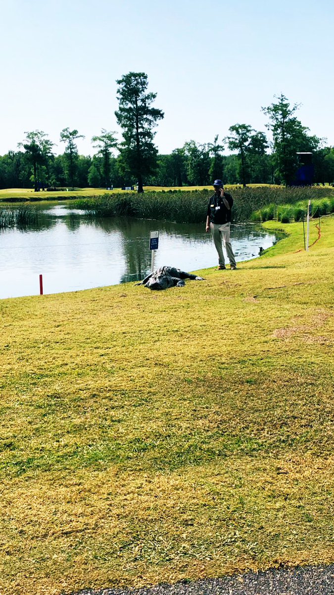 Great week with <a href="/TPCLouisiana/">TPC Louisiana</a> Agronomy. Golf course was in fantastic shape. <a href="/brandonleereese/">Brandon Reese</a> <a href="/Tyler_McCool/">Tyler McCool</a> #ZurichClassic #NOLA