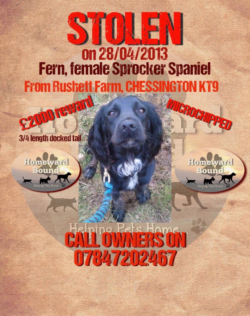 LisaLisaw1's tweet photo. π #FindFern #MissingSixYears #Chessington #Surrey #stoppettheft #Microchipped #scanme #checkthatchip #nevergiveup #keepthefaith π https://t.co/fjuEryir4X