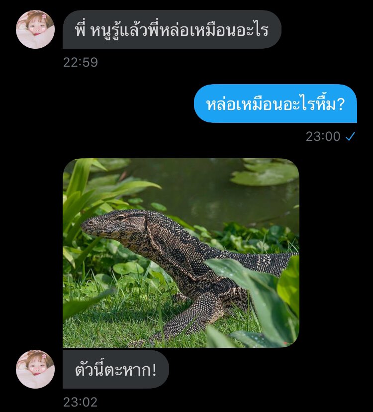 ทัพ tweet media