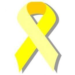 📣Llegan noticias de que en el col.electoral La Estrella-La Jota🔻(Zgz) han echado a uno de nuestros apoderados por llevar un lazo amarillo🎗