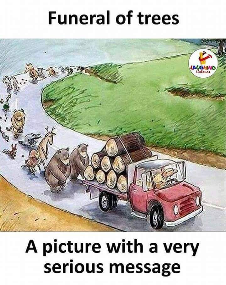 lavocedellastic's tweet photo. Per noi sono #mobili, #legna da ardere, #pavimenti in #parquet, #arredi da #giardino, elementi di arredo, per loro è la #CASA. 

#alberi #natura #animali #boschi #foreste #trees #animals #animaux #arbres #nature #forêts #forests https://t.co/bxeH3jxcRG