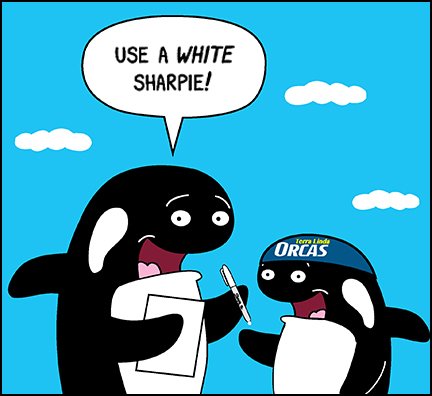 orcabrad's tweet photo. What a great Time Trials meet yesterday! We're looking forward to our first dual meet on May 4 against Swimarin! Here's a fin-marking tip for my fellow Orcas: https://t.co/y2HxBdYtKE