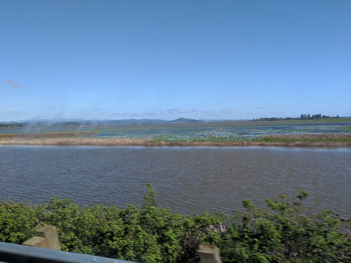 オレゴンから愛