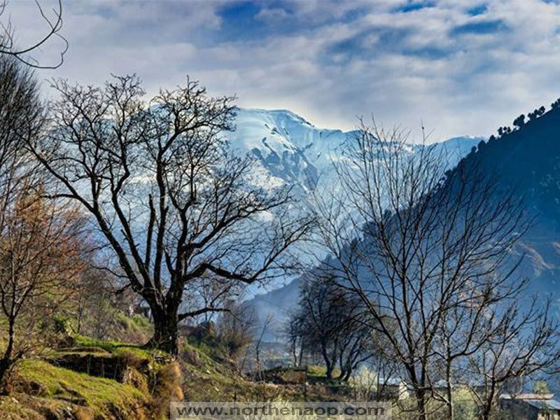 LifeLensScape's tweet photo. Siran Valley,  a lesser known valley in Mansehra, Khyber Pakhtunkhwa. The depth of scenery, mesmerizing beauty of the place and fresh air makesl it a heaven on earth.
https://t.co/eNyIN5WC1C
#BeautifulPakistan #ExplorePakistan #TourismPakistan https://t.co/jW82soiU8i