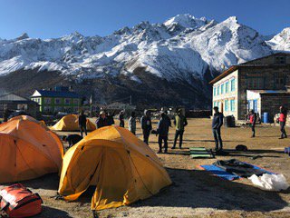 FreeWalkers tweet media