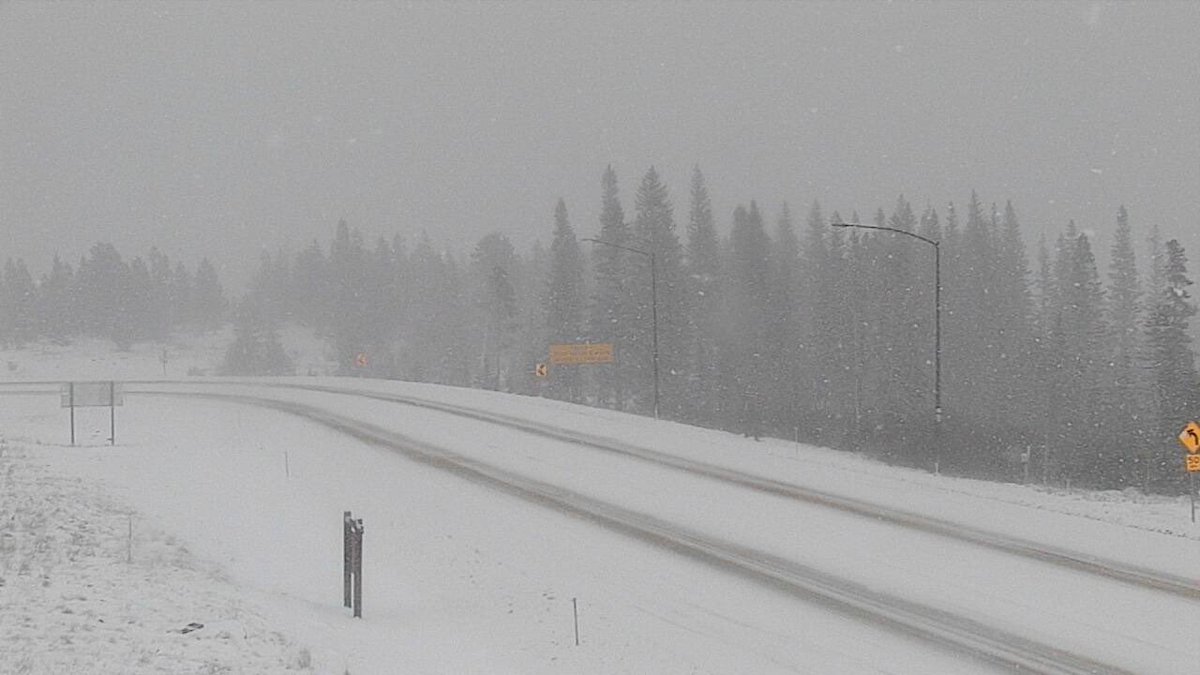 WxLadyBrady's tweet photo. It’s going to be slick over some mountain passes this morning. Lost Trail and MacDonald passes are both snow covered. Another spot to be careful around is Marias pass. It remains under a blizzard warning until noon today. #mtwx #mtroads https://t.co/i9FjTXkSoh