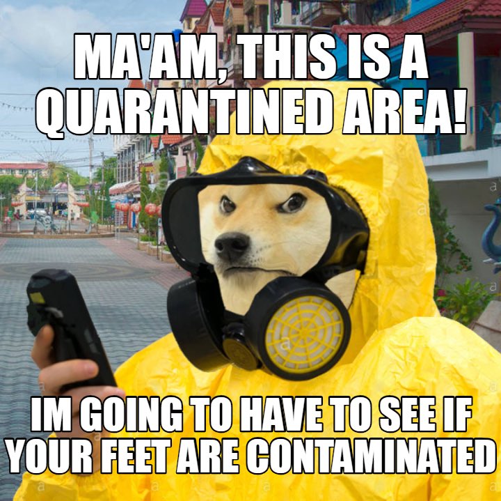 Dogeposting on Twitter: "… "