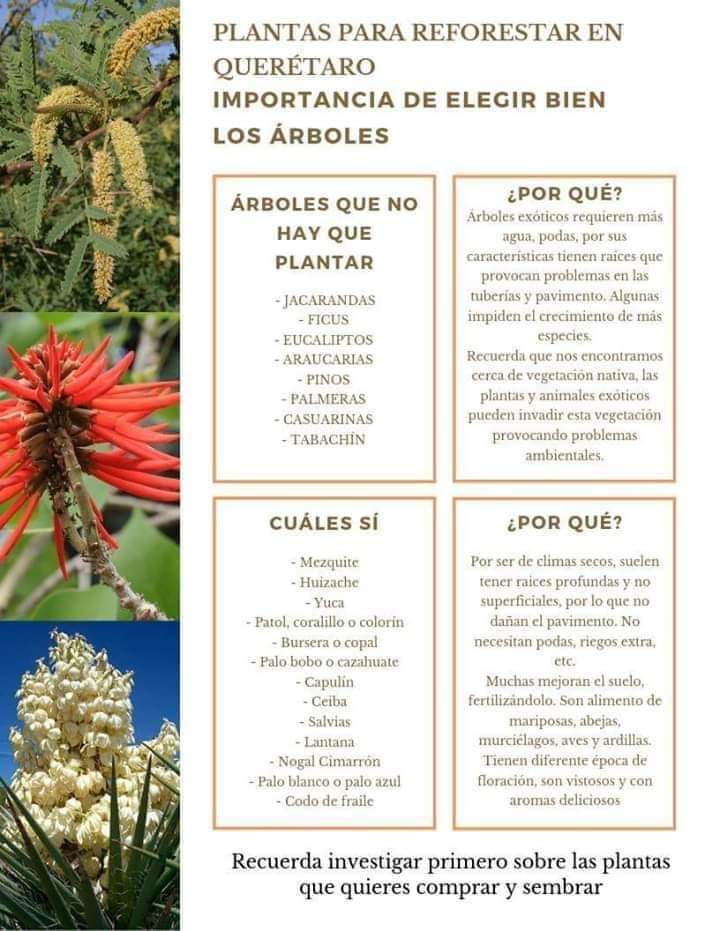 Gerardo Malagón tweet media