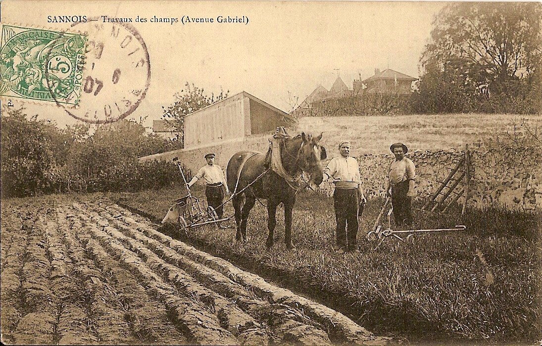 Quand un ministre te dit que c’était mieux du temps de tes grands-parents, tu te dis qu’on est quand même vachement mal barrés. C’est comme ça qu’ils veulent nourrir la planète ? L’espérance de vie pour les hommes était de 63,4 ans en 1950 pour info.