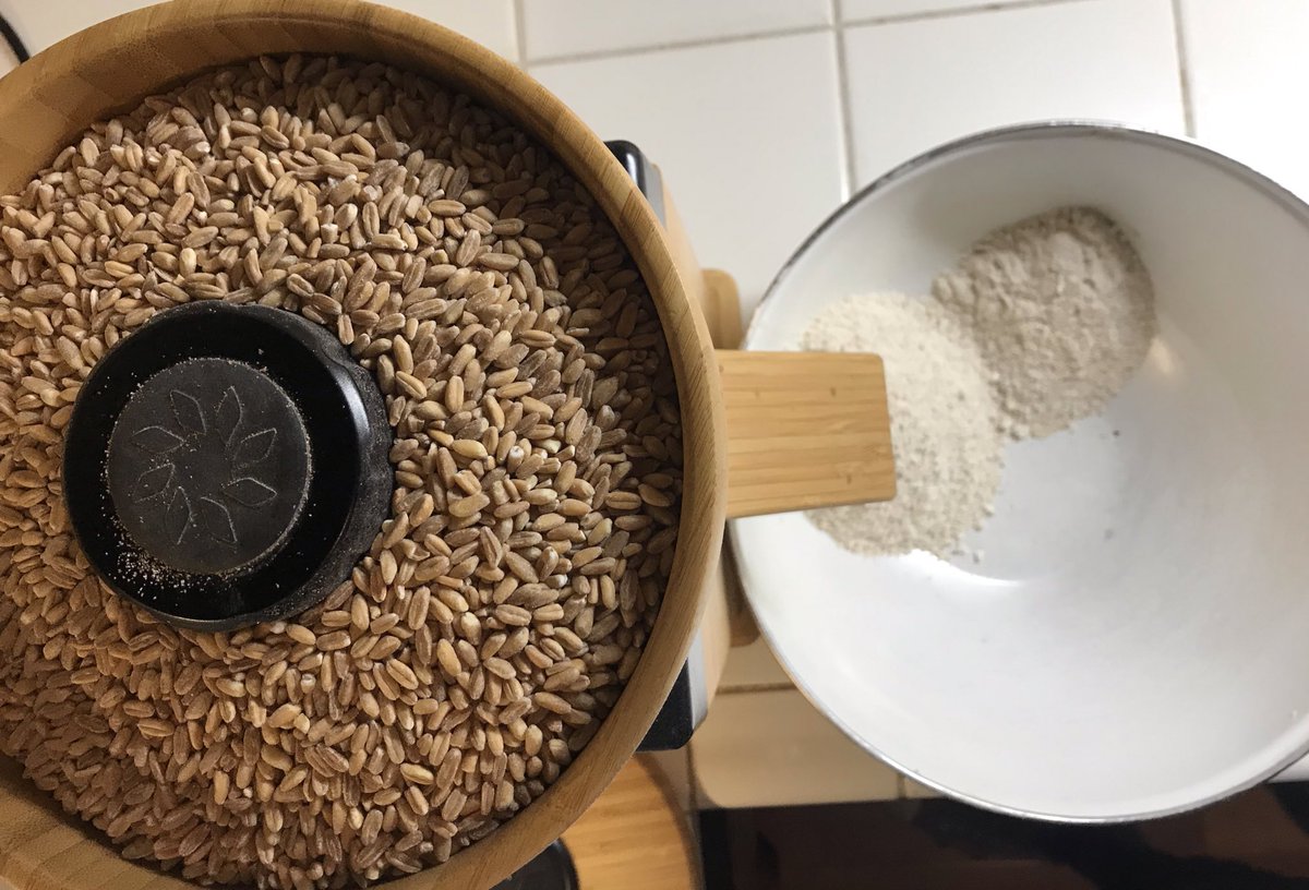 Emmer/Farro behaves much more like a modern wheat. I’m making extra Farro for dusting and such. Are we bored to death yet?