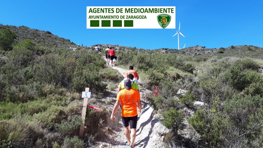 AF_UnidadVerde tweet media