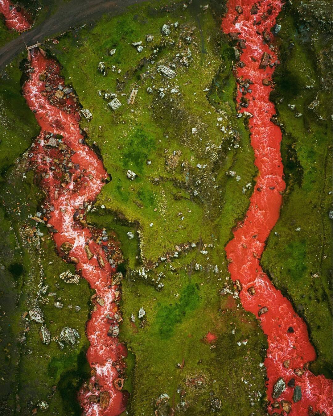 ���� ���� ������ �� ���� ������