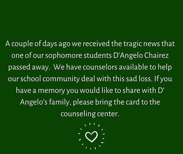 PaysonLions's tweet image. 