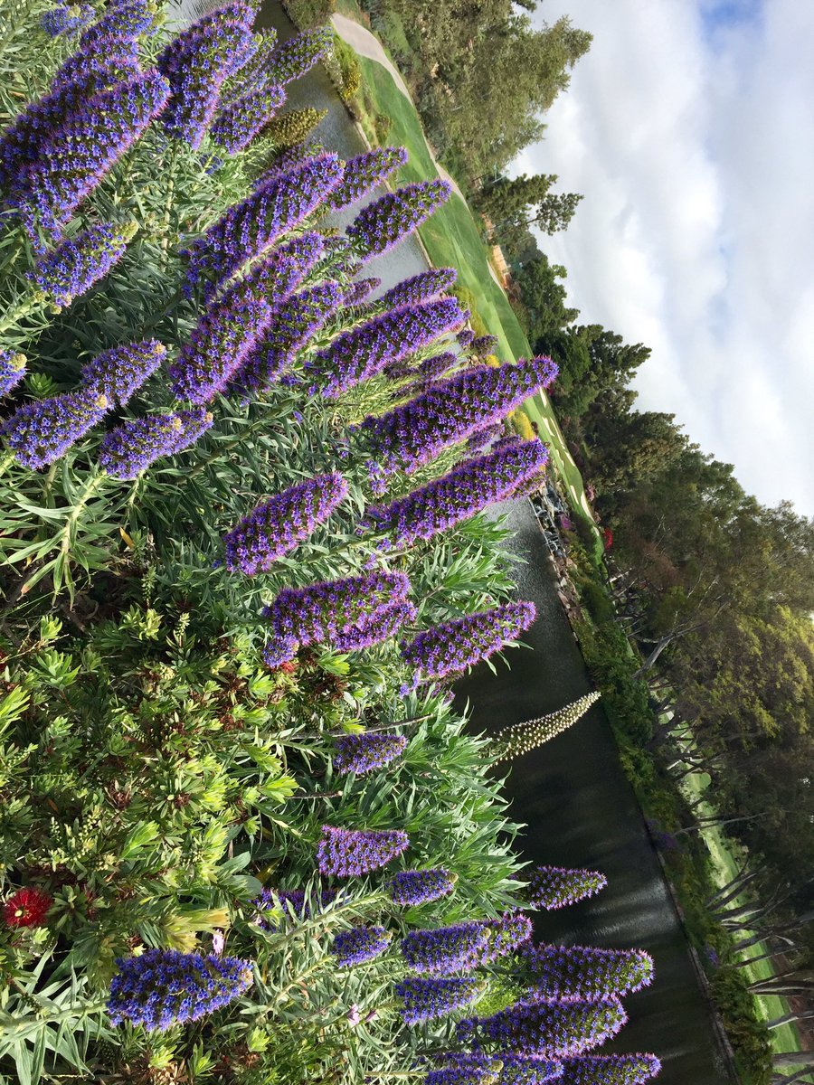 CStorepoint's tweet image. Prettiest golf course we’ve seen in a while #CStorePoint19. What a beauty!