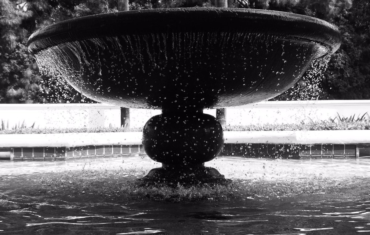 CStorepoint's tweet image. Prettiest golf course we’ve seen in a while #CStorePoint19. What a beauty!