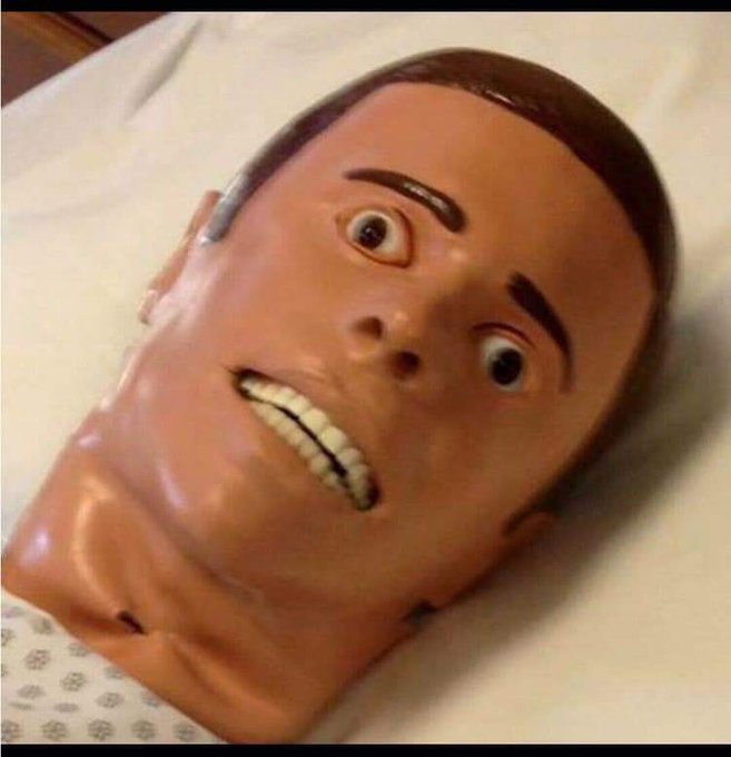 The face you make when she keeps sucking you after you've nutted in her mouth for the 25th time in a<a href="/tag/yesplease"class="tags"><span>#yesplease</span></a><a href="/tag/stop"class="tags"><span>#stop</span></a><a href="/tag/pleasedontstop"class="tags"><span>#pleasedontstop</span></a>