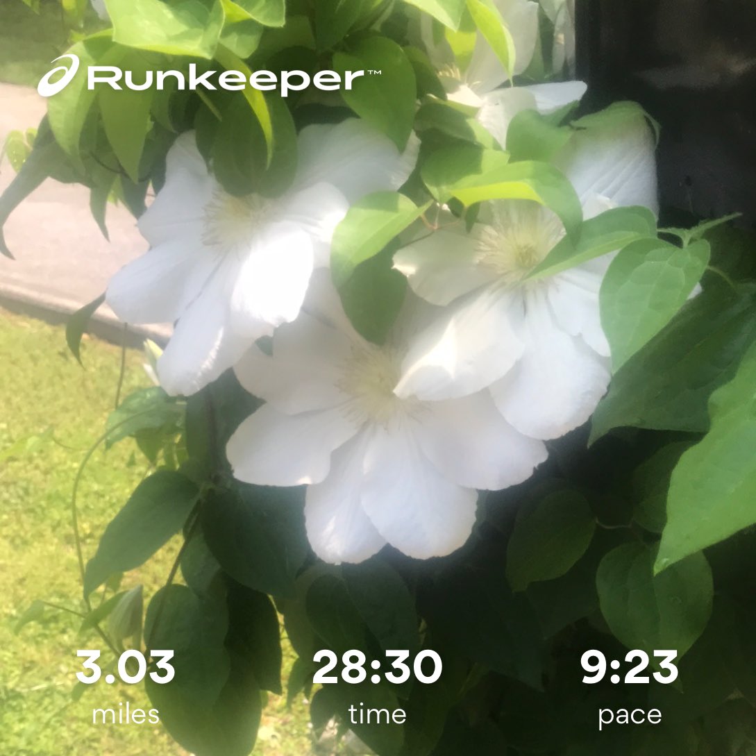 fredspring's tweet image. Run on sun