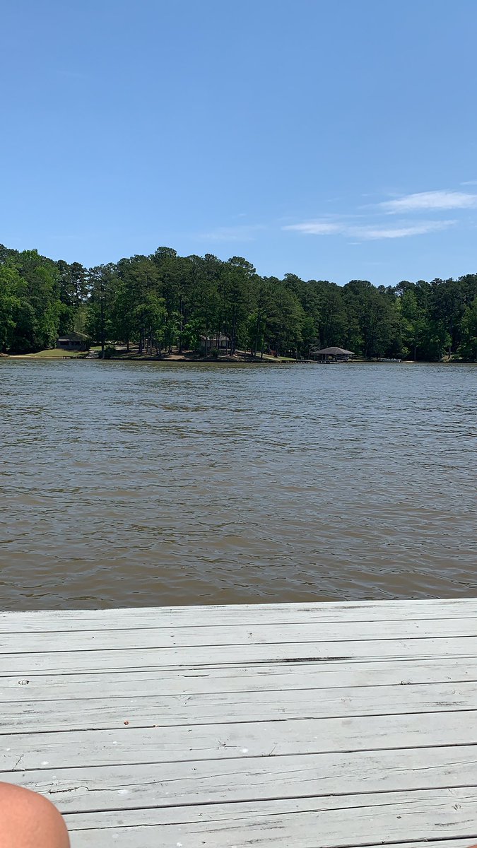 buzzing_bees's tweet image. Recharge after all the testing #lakelife