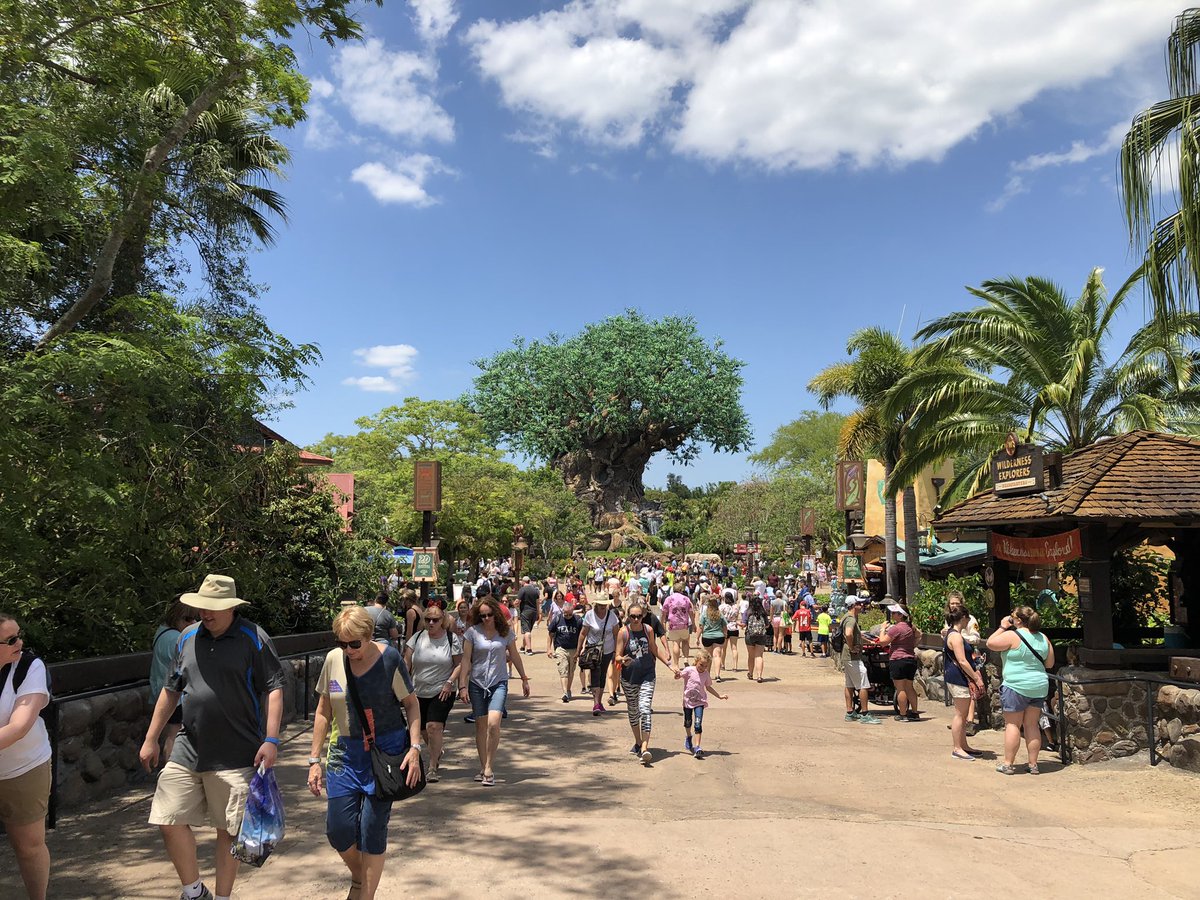 MidwestDisnerds's tweet image. Just a beautiful day in Animal Kingdom!!! #disney #AnimalKingdom #sunshineaplenty #extradaysFTW