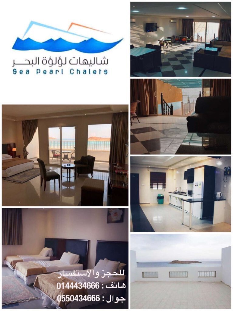 Seahagle's tweet image. #تبوك_الان #حقل #املج #الوجه #عرعر #الرياض #الاتحاد_النصر #اريزونا_لتأجير_السيارات #الاتحاد #التعاون #الحويطيه #السفر #احداث_24 #العلا  #المدينة_المنورة #الحمد_الله #السرطان #الاهلي #اجمل_وافضل_نساء_العالم #أسواق_عبدالله_العثيم #بحر_البسمه #بحر #الشمال #اللهم_بلغنا_رمضان