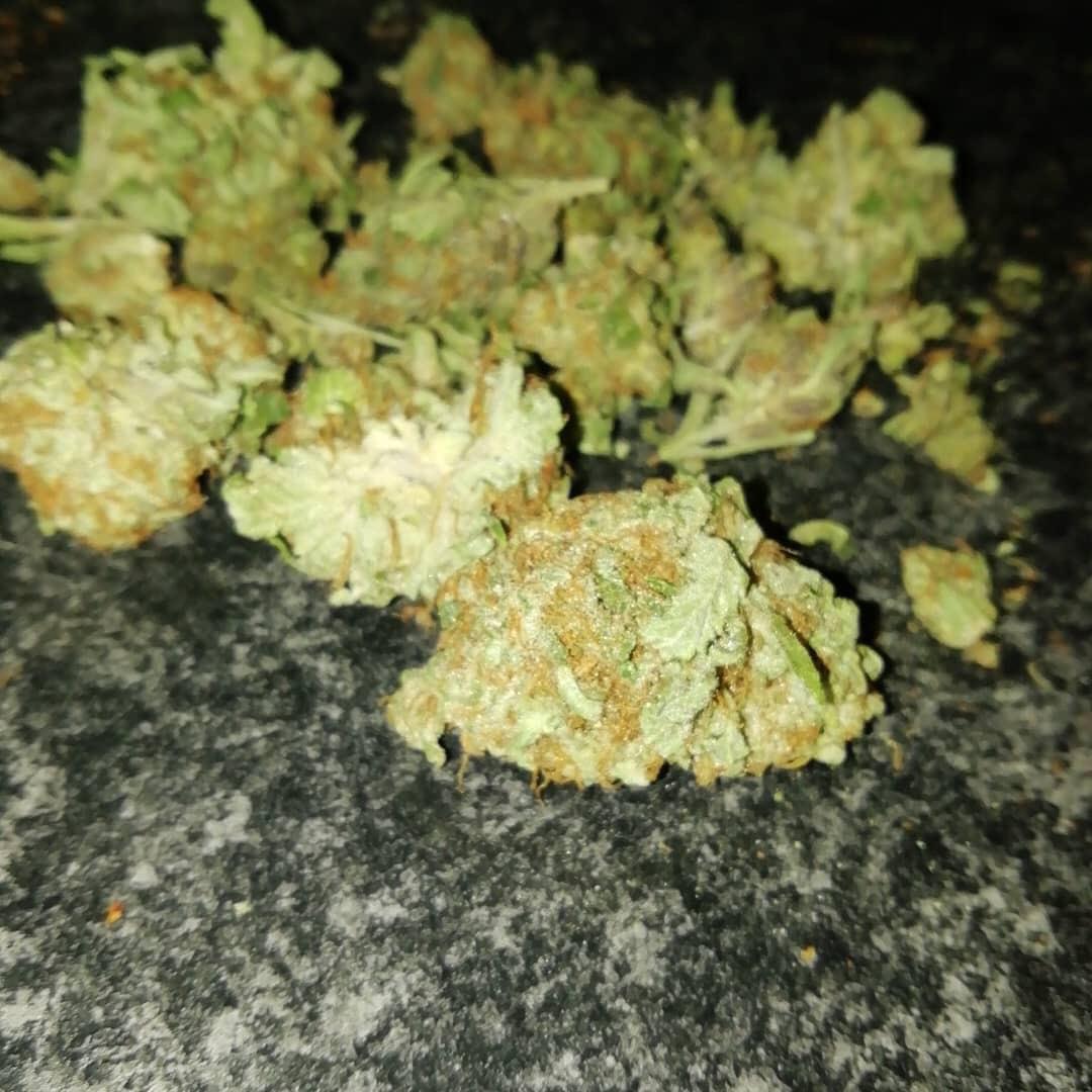OGKushMaster4 tweet picture