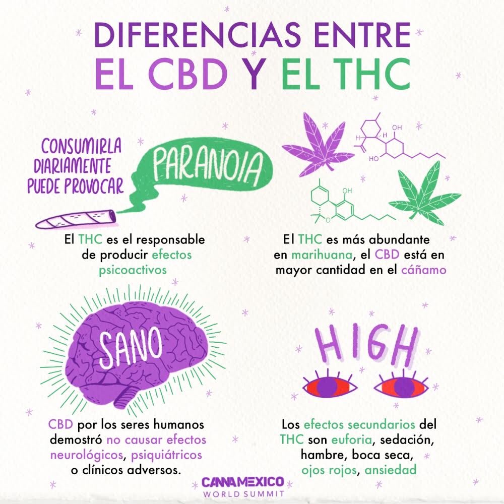 Los dos componentes activos principales del cannabis producen efectos diferentes, pero interactúan de manera conjunta, balanceándose mutuamente. 🌿
