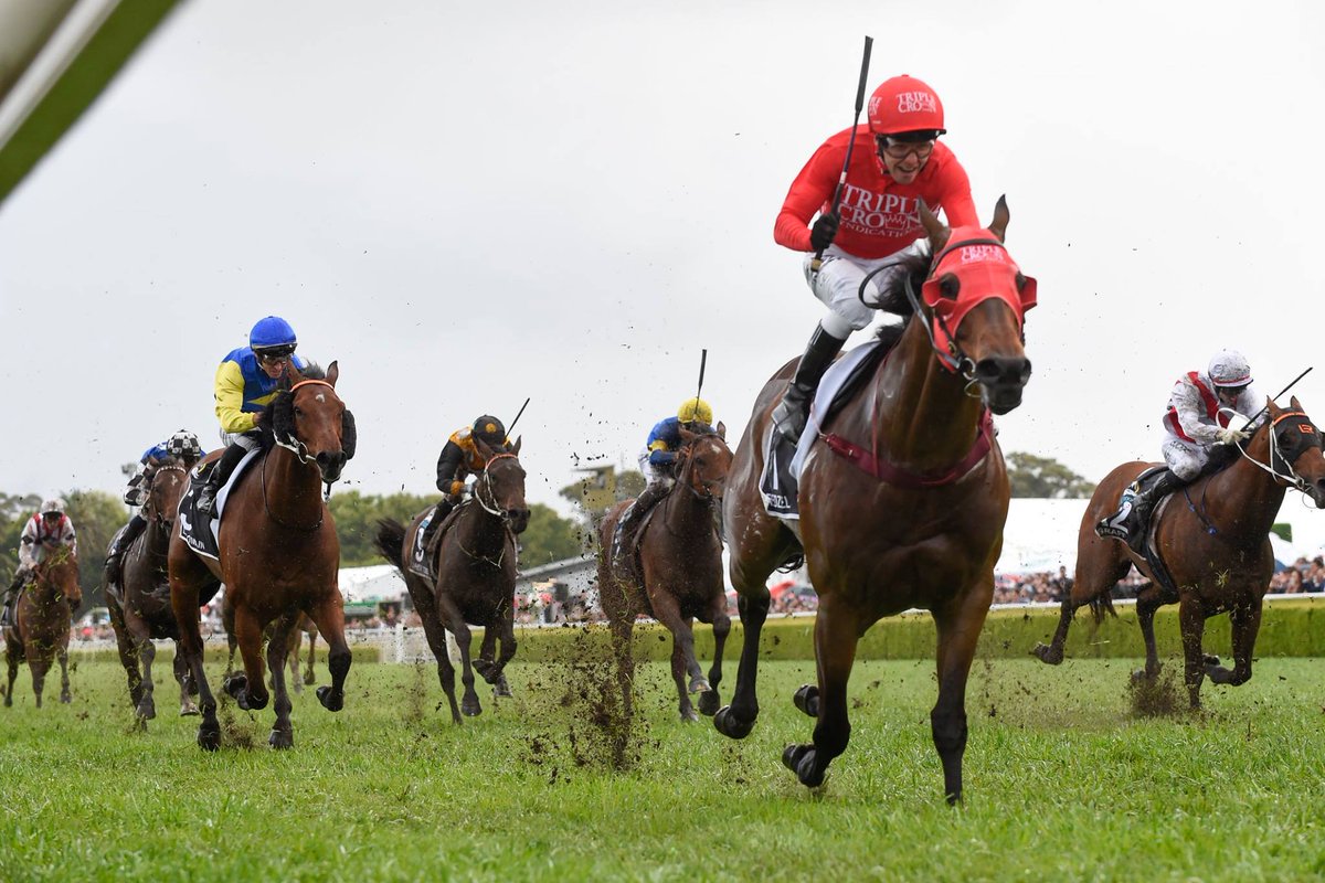 Australian Turf Club tweet media