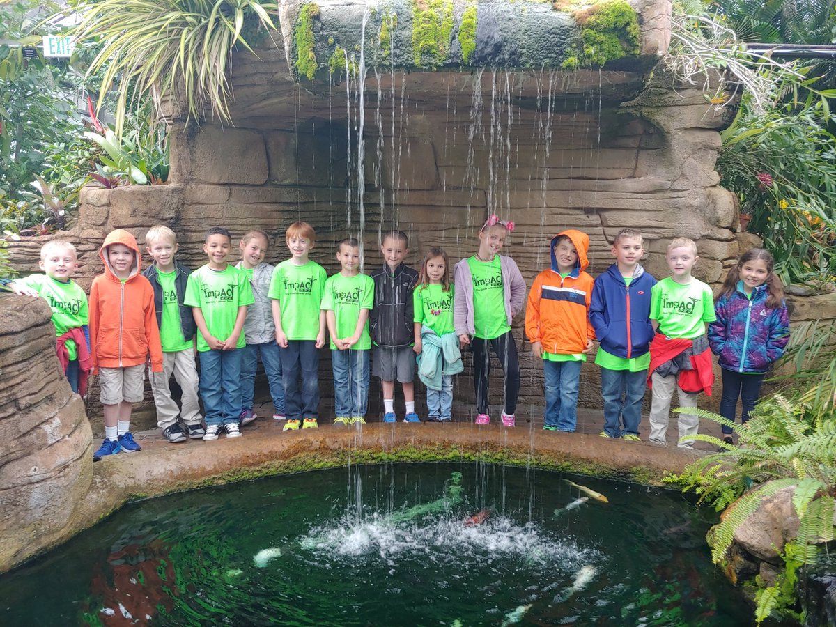 Learning about the rainforest!! #HCLSIndy #hclsteach #1stchat
