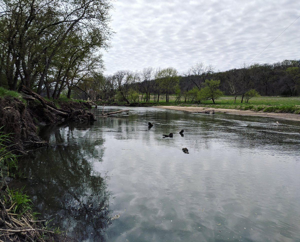 I might complain about the weather, but this view makes up for it! 
#fishing #rivercertified #iowa #spring