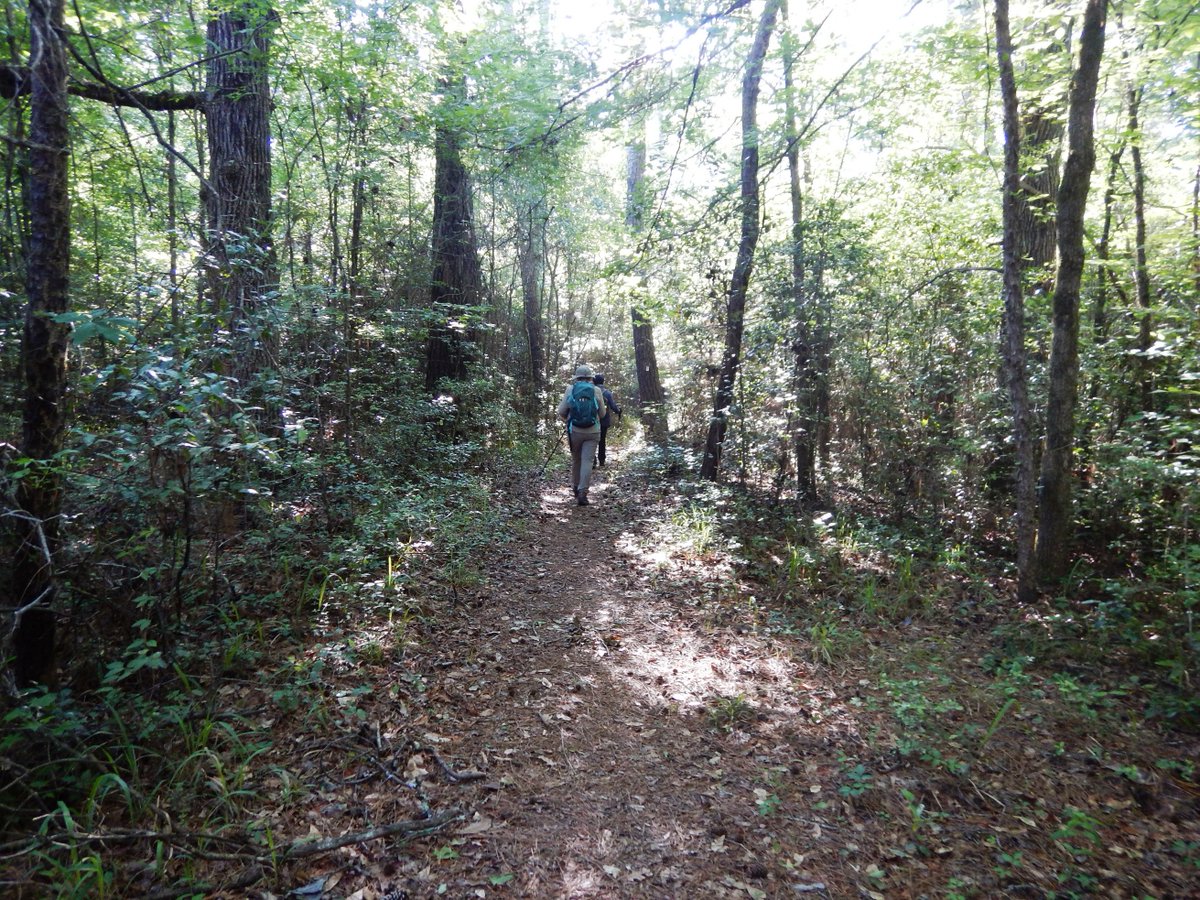 Lone Star Trail tweet media