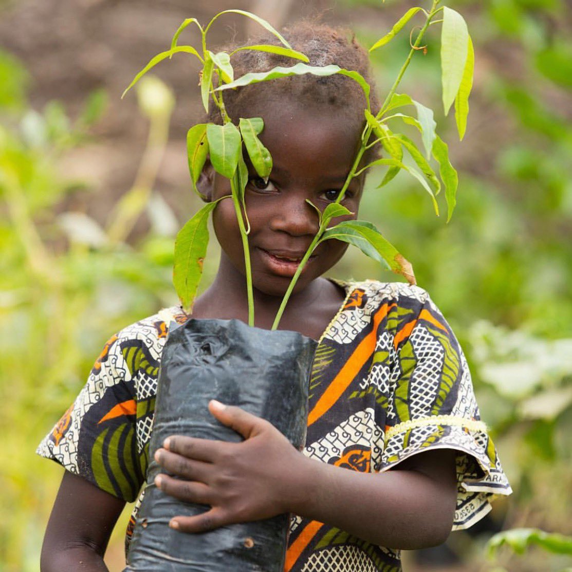 Bouclème (@boucleme) on Twitter photo Did you know that when you purchase a 300ml product on our website, we donate to <a href="/Treesftf/">Trees for the Future</a>? 🌳
Because of our amazing customers, we're proud that our contributions have helped to plant a staggering 16,000 trees & counting! 🙏🏿 Did you know that when you purchase a 300ml product on our website, we donate to <a href="/Treesftf/">Trees for the Future</a>? 🌳
Because of our amazing customers, we're proud that our contributions have helped to plant a staggering 16,000 trees & counting! 🙏🏿