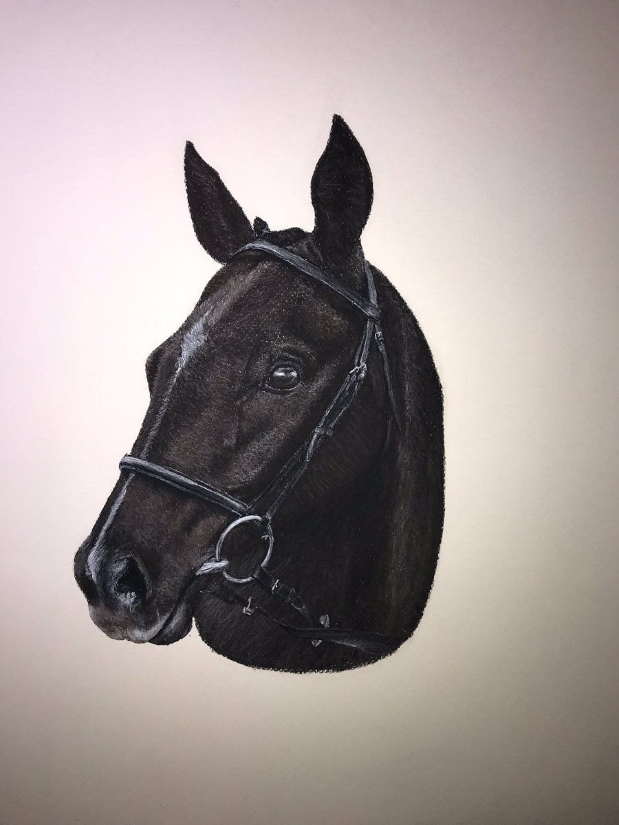 Evening everyone, sorry it’s a bit late. I have another update for you all on the racehorse commission. I think it’s now finished apart from the fine hairs! Hope you like! 😊🐎