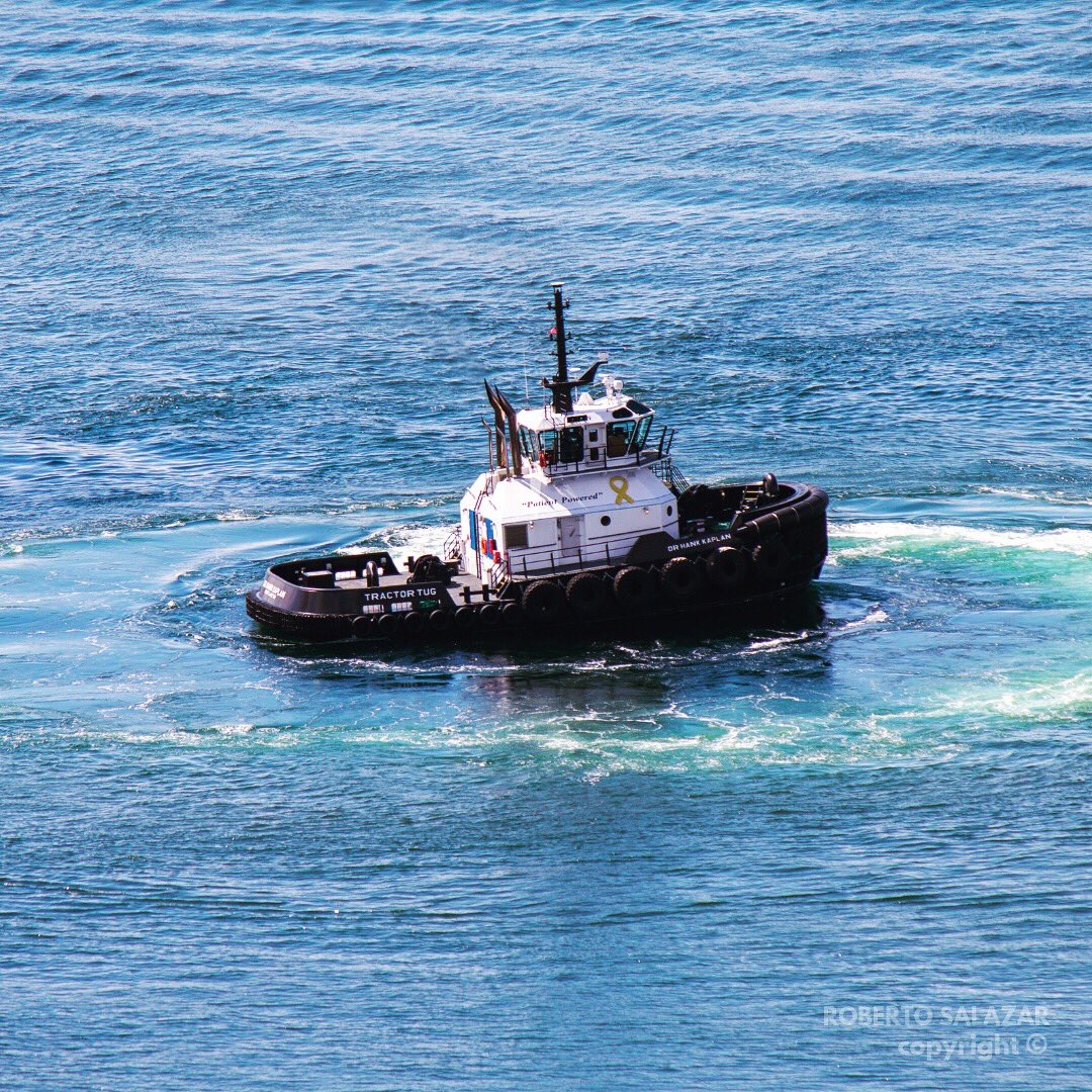 More aerial photography in Seattle. See more at IG <a href="/roberto_salazar/">Roberto</a> #seattle #portofseattle #canonusa #aerialphotography